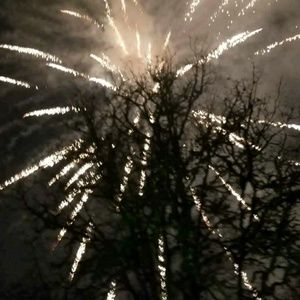 Meet your Posher, Deanna